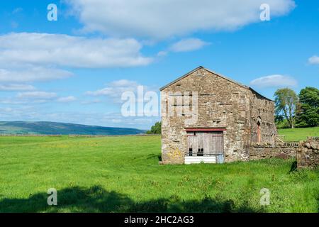 Une grange traditionnelle construite en pierre, située dans des prairies verdoyantes, au cours d'un après-midi ensoleillé de printemps à Wensleydale, dans le Yorkshire Dales Banque D'Images
