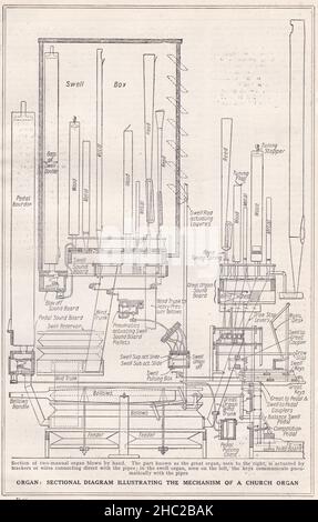 Schéma de section vintage illustrant le mécanisme d'un organe d'église 1930s. Banque D'Images