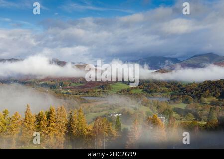 Brume matinale sur Eltermere. Banque D'Images