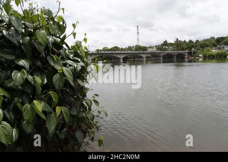 pont Cavendish, se marque car il est un trait d’Union entre le village et le quartier de ville Noire Banque D'Images