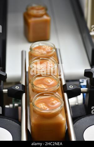 Pots de miel crémeux dans une ligne d'emballage dans une usine commerciale de miel Banque D'Images