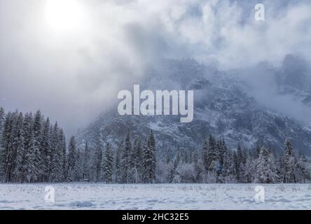 Une nouvelle couverture de neige fraîche couvre la vallée de Yosemite à Cook Meadow après une tempête de nuit, parc national de Yosemite, Californie, États-Unis. Banque D'Images