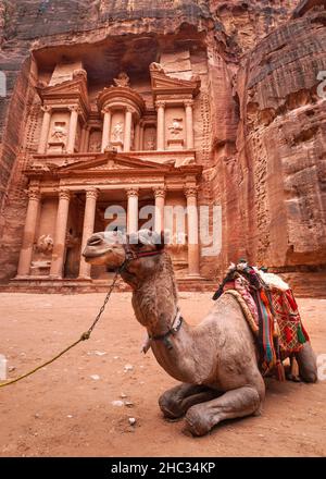 Chameau se reposant devant le temple principal (Al-Khazneh - Trésor) à Petra, en Jordanie.Les animaux sont utilisés pour les touristes Banque D'Images