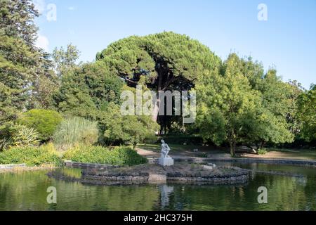 Paysage d'étang dans Parque Eduardo VII à Lisbonne Banque D'Images