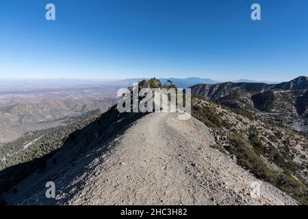 Vue sur le sentier Devils Backbone Trail, près du sommet de Mt Baldy, dans la région des montagnes San Gabriel, dans le comté de San Bernardino en Californie. Banque D'Images