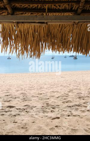 Alter do Chão,Brésil,21 novembre 2021.Straw de kiosques avec la rivière Tapajós en arrière-plan dans Alter do Chão, État de Pará, région amazonienne. Banque D'Images