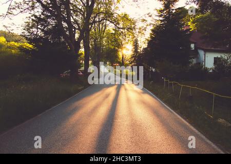 Les feux de soleil tombant sur la route à travers les arbres Banque D'Images