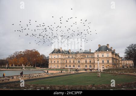 Les oiseaux s'envolent dans le ciel devant le Palais du Luxembourg. Paris, France Banque D'Images