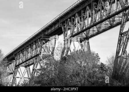 Prise de vue en niveaux de gris d'un pont de haut niveau entouré d'arbres Banque D'Images