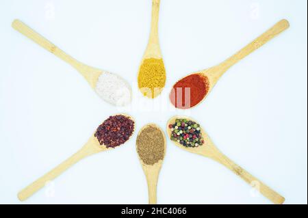 Gros plan des différents types d'épices avec des cuillères en bois isolées sur fond blanc. Banque D'Images