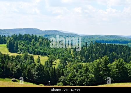 Forêt de Thuringe, Allemagne Banque D'Images