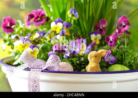 Gros plan d'une joyeuse décoration de Pâques avec un petit lapin, des œufs de couleur et des fleurs de pansy très colorées en pleine fleur. Banque D'Images