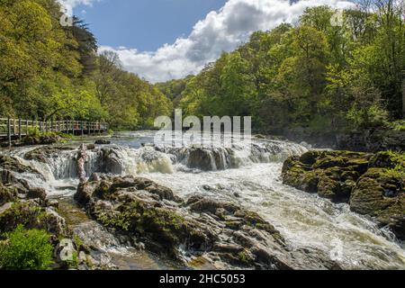 Les chutes de Cenarth bordent le Carrmarthenshire et le Pembrokeshire, juste en haut de la frontière de Ceredigion, dans l'ouest du pays de Galles, sur la rivière Teifi Banque D'Images