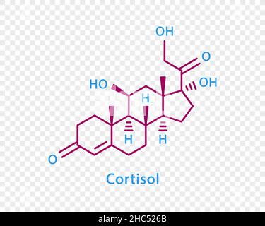 Formule chimique du cortisol.Formule chimique structurale du cortisol isolée sur fond transparent. Illustration de Vecteur