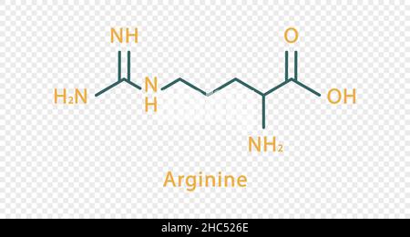 Formule chimique de l'arginine.Formule chimique structurale de l'arginine isolée sur fond transparent. Illustration de Vecteur