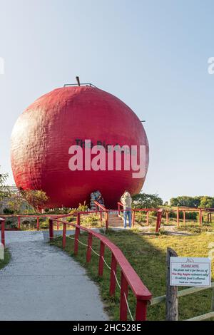 Colborne, Canada - le 7 septembre 2021 : Big Apple l'attraction routière de Colborne, en Ontario, située du côté sud de l'autoroute 401 de l'Ontario.Grande pomme str Banque D'Images