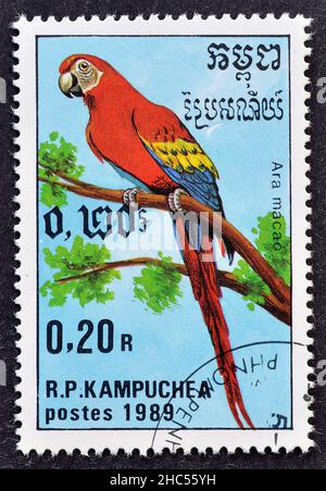 Timbre-poste annulé imprimé par le Cambodge, qui montre Scarlet Macaw (Ara macao), vers 1989. Banque D'Images