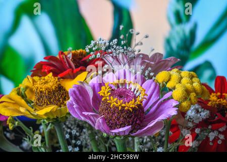 Gros plan d'un bouquet de fleurs coloré Banque D'Images