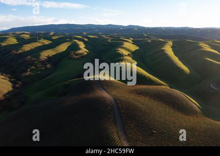 Le soir, la lumière du soleil brille sur les collines vallonnées de la pittoresque région de Tri-Valley en Californie du Nord, juste à l'est de la baie de San Francisco. Banque D'Images
