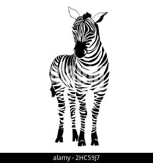Logo avec la tête d'un zèbre. Illustration de Vecteur