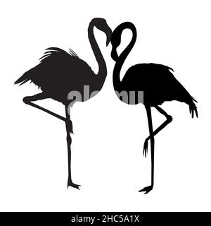Silhouette Flamingo , fichier vectoriel d'oiseau, illustration Illustration de Vecteur
