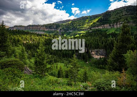 Vue sur le Darby Canyon à Victor Idaho, États-Unis Banque D'Images