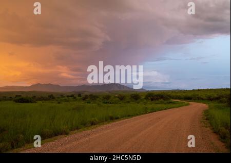 Coucher de soleil vibrant à Sonoita Arizona, route menant au loin. Banque D'Images