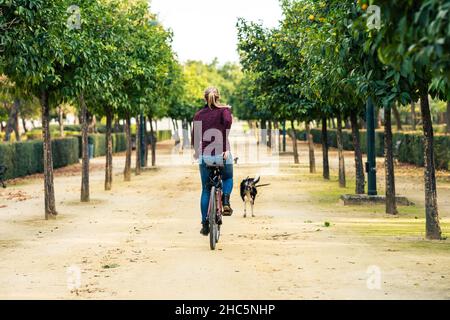Femme à vélo tout en marchant le chien dans un parc Banque D'Images