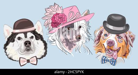 Ensemble de chien hippster Malamute d'Alaska, Berger australien rouge et chinois à crête, en chapeaux et noeud papillon Illustration de Vecteur