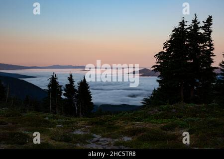 WA19923-00...WASHINGTON - Vallée remplie de brouillard et un lever de soleil fumé vu de la nature sauvage de Goat Rocks dans la forêt nationale de Gifford Pinchot. Banque D'Images