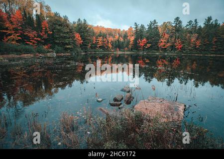 Photo hypnotique d'un petit lac forestier entouré de sapins en automne Banque D'Images