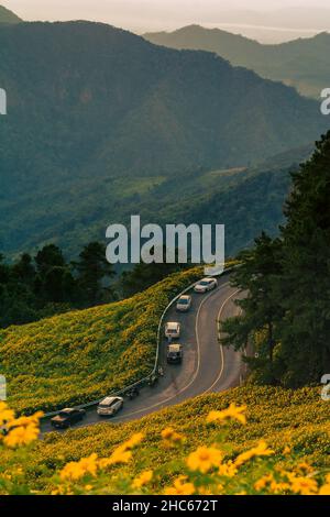 Magnifique paysage point de vue de fleurs jaunes Thung Bua Tong, Mae Hong son, Thaïlande Banque D'Images