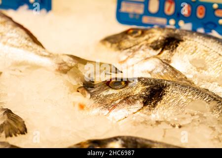 Poisson stalle avec la dorade de mer (Sparus aurata) sur la glace à la Boqueria à Barcelone Banque D'Images
