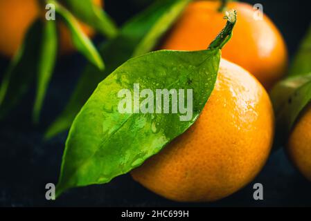 Gros plan de fruits orange mandarin sur fond sombre Banque D'Images