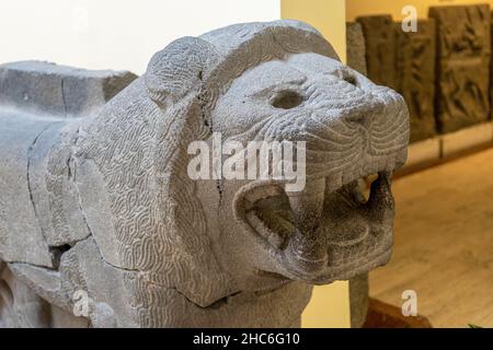 Tête du lion de pierre qui gardait autrefois l'entrée du palais Hittite tardif à Zincirli (Samal), 9th siècle avant J.-C. Banque D'Images