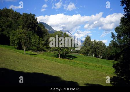 Vue fascinante sur les montagnes au-dessus du champ vert avec des arbres denses contre un ciel nuageux Banque D'Images