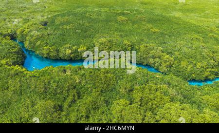 Vue aérienne de Casa Cenote à Tulum, Quintana Roo, Mexique Banque D'Images