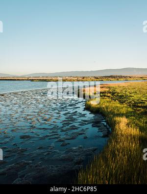 Terres humides de la réserve naturelle de Baylands, à Palo Alto, en Californie Banque D'Images