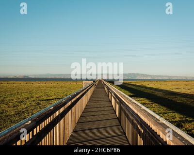 Sentier de promenade de Marsh à la réserve naturelle de Baylands, à Palo Alto, en Californie Banque D'Images