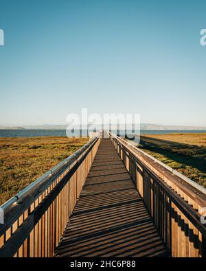 Sentier de promenade de Marsh à la réserve naturelle de Baylands, à Palo Alto, en Californie Banque D'Images