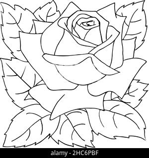 dessin de contour isolé de fleur de rose, graphique Illustration de Vecteur