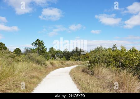 Un sentier de randonnée à Robinson Preserve à Bradenton, en Floride. Banque D'Images