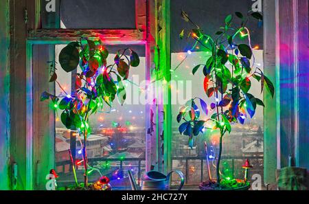 Nouvel an et Noël arbres en pot insolites décorés de lumières colorées et de champignons sur un rebord de fenêtre Banque D'Images