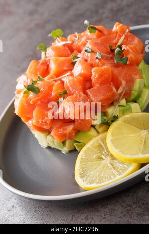 Tartare de saumon sur des tranches d'avocat avec du citron et du micro-vert en gros plan dans une assiette sur une table en béton.Verticale Banque D'Images