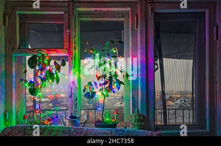 Nouvel an et Noël arbres en pot insolites décorés de lumières colorées et de champignons sur un rebord de fenêtre Banque D'Images