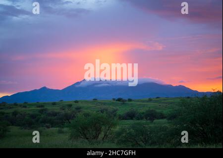 Chaîne de montagnes distante avec sommet brumeux au coucher du soleil avec champs verts. Banque D'Images