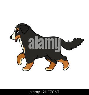 Vecteur adorable, mignon dessin animé dessin main Bernese Mountain Dog va quelque part.Illustration animale isolée sur fond blanc Illustration de Vecteur