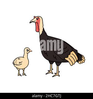 Dessin animé vecteur mignon contour dinde femelle et jaune poult poulet bébé.Illustration d'animaux isolés dessinés à la main sur fond blanc Illustration de Vecteur