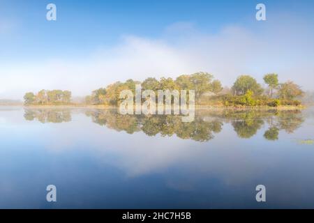 Brume matinale au-dessus du lac Empire, automne, Minnesota, États-Unis, par Dominique Braud/Dembinsky photo Assoc Banque D'Images