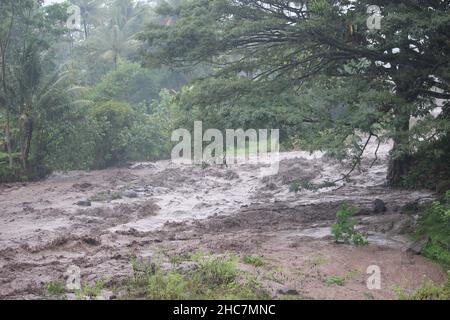 une rivière qui est inondée au bord d'une forêt encore belle et protégée coule dans le village local Banque D'Images
